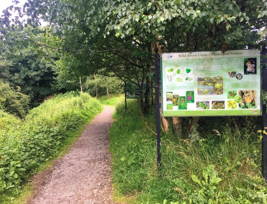 Nature Walk, Clane, Co Kildare (1)